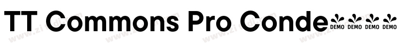 TT Commons Pro Conde字体转换